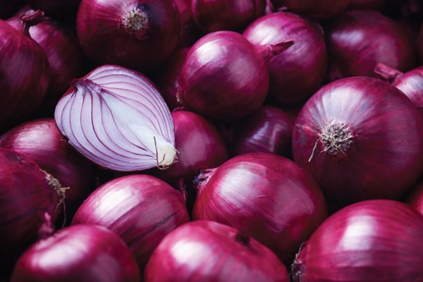 Mega onion tor